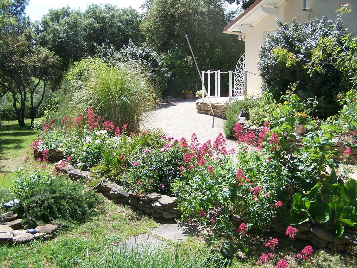 Les Florides Appartement LʼIsle-sur-la-Sorgue Buitenkant foto