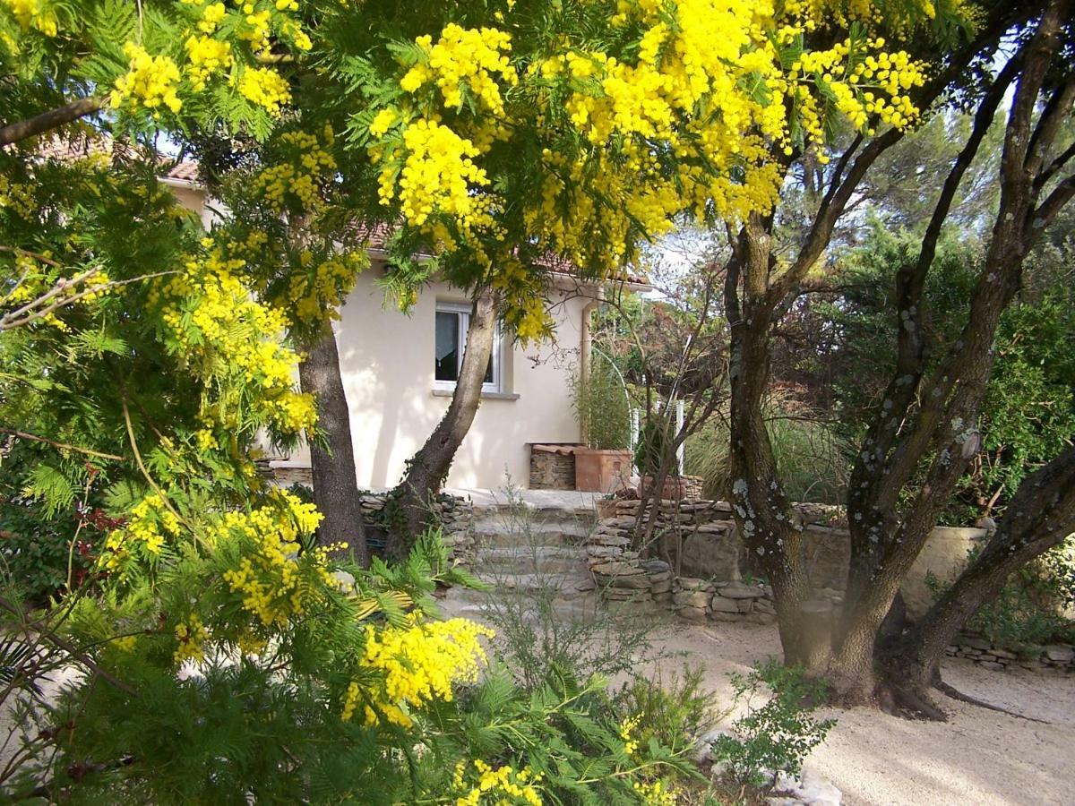 Les Florides Appartement LʼIsle-sur-la-Sorgue Buitenkant foto